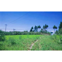 732個礦山完成生態(tài)修復(fù) 四川加強礦山綜合整治