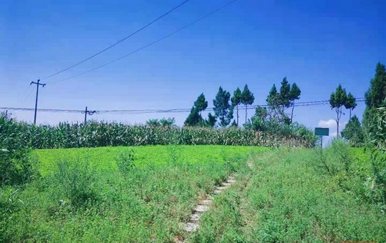 修復后的南津鎮(zhèn)槽土村陶家溝采石場